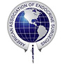 American Association of Endocrine Surgeons